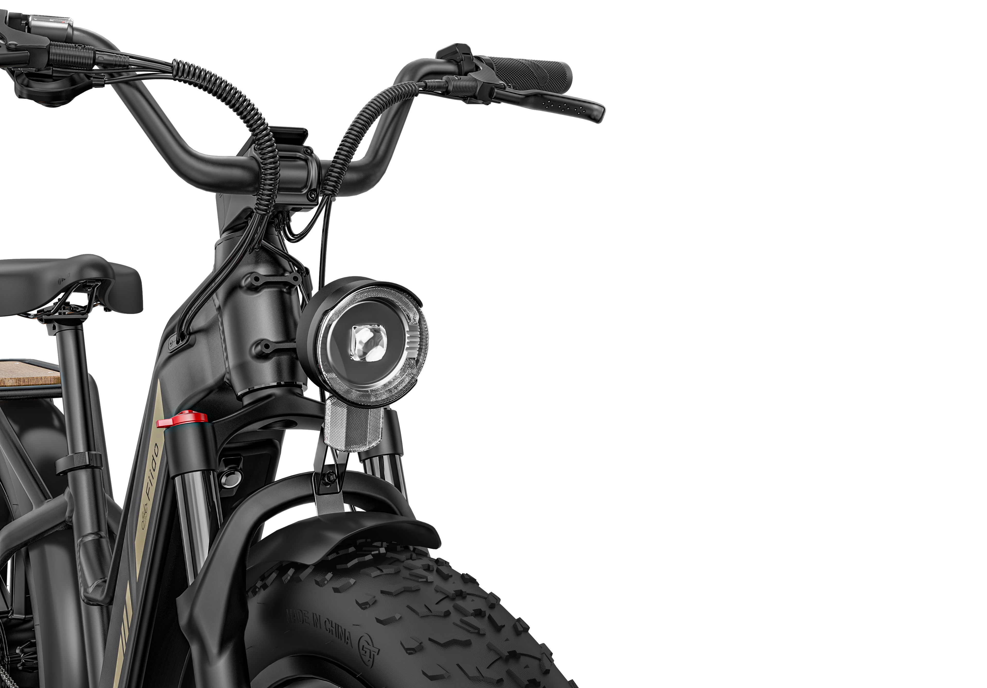 Fiido Titan Electric Bike