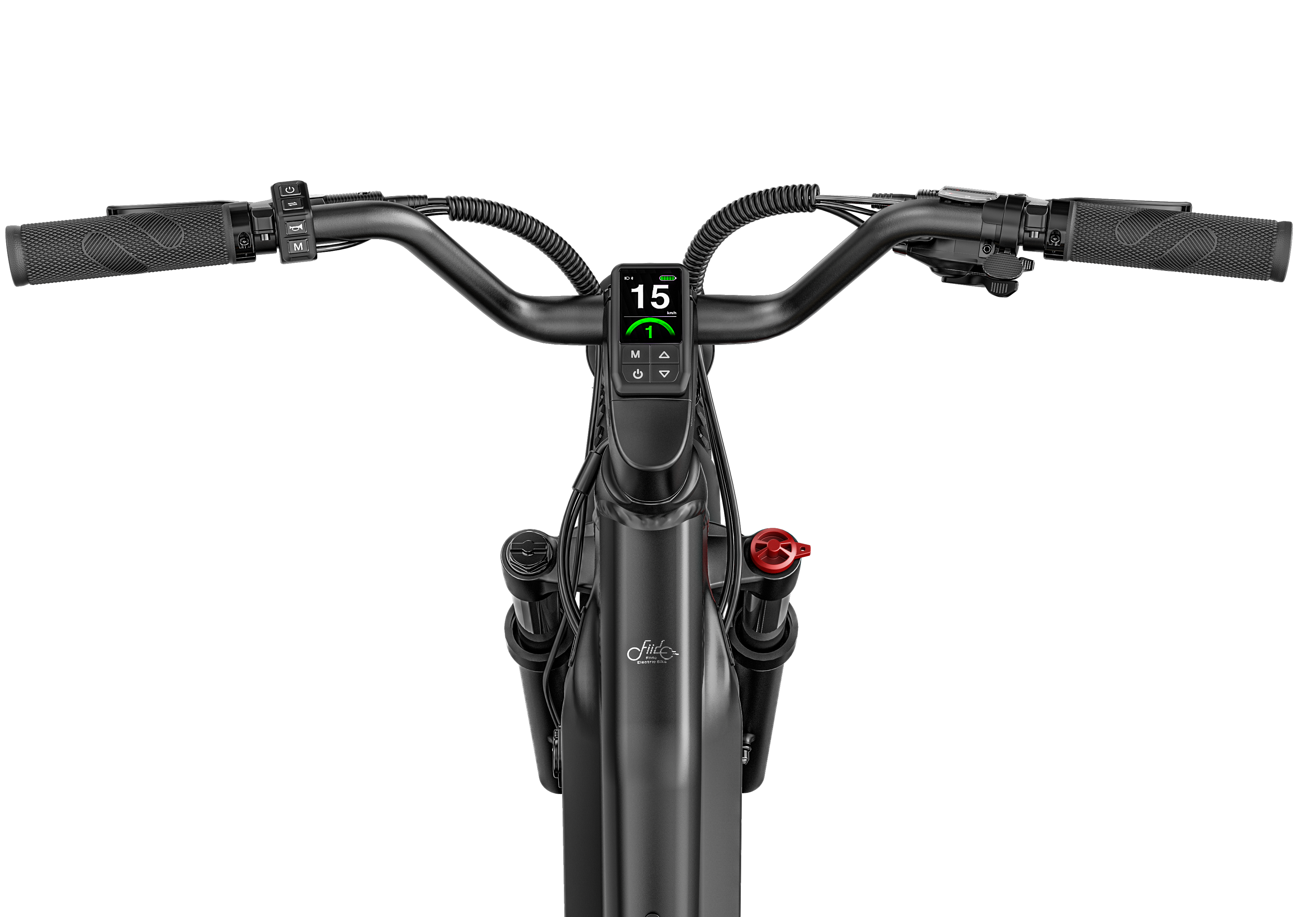 Fiido Titan Electric Bike