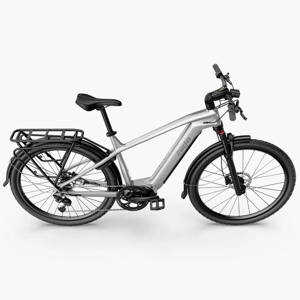 Fiido Nomads Pro Electric Bike