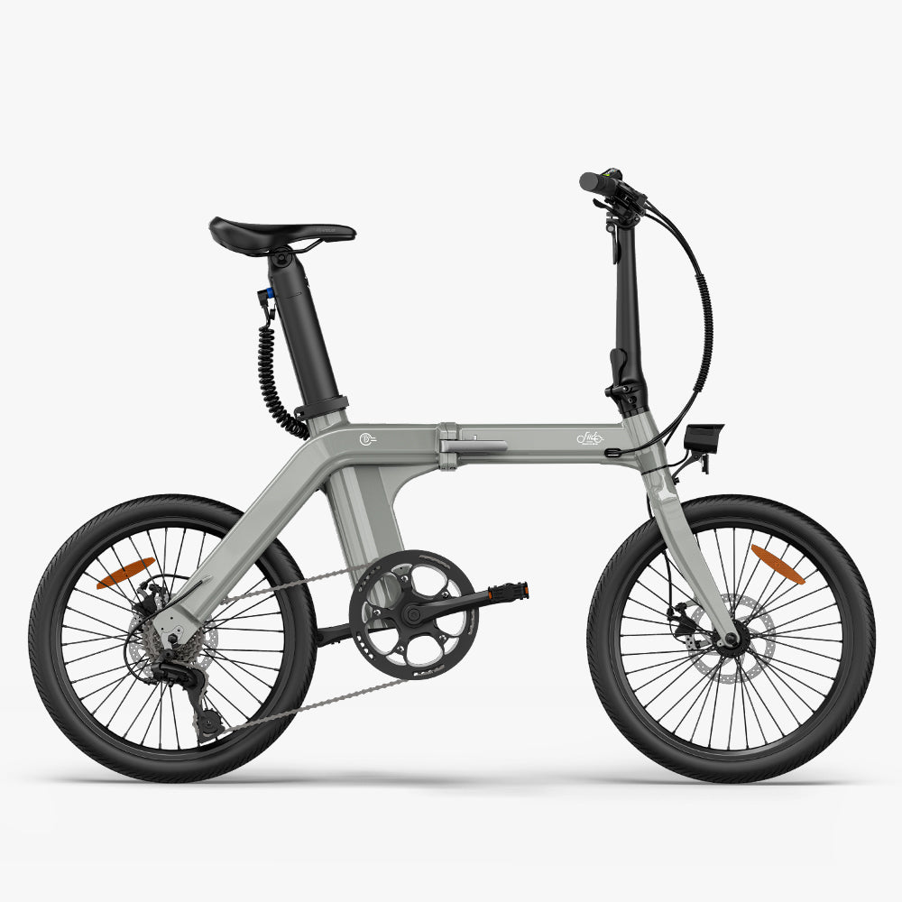 Fiido D11 2025 Electric Bike