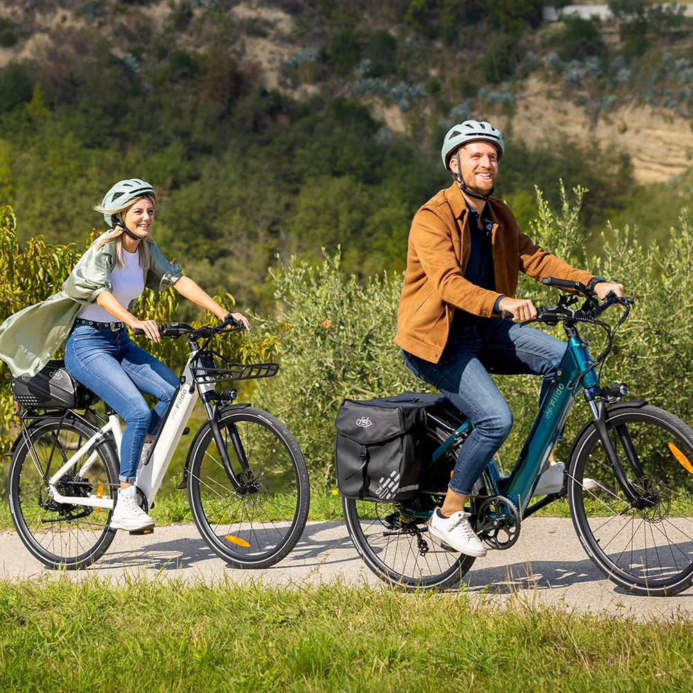 Fiido C11 E-Bike