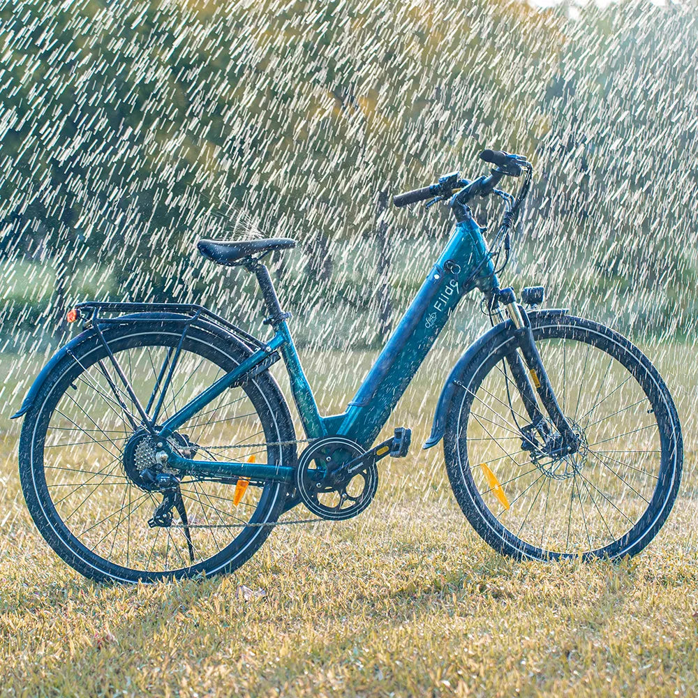 Fiido C11 E-Bike
