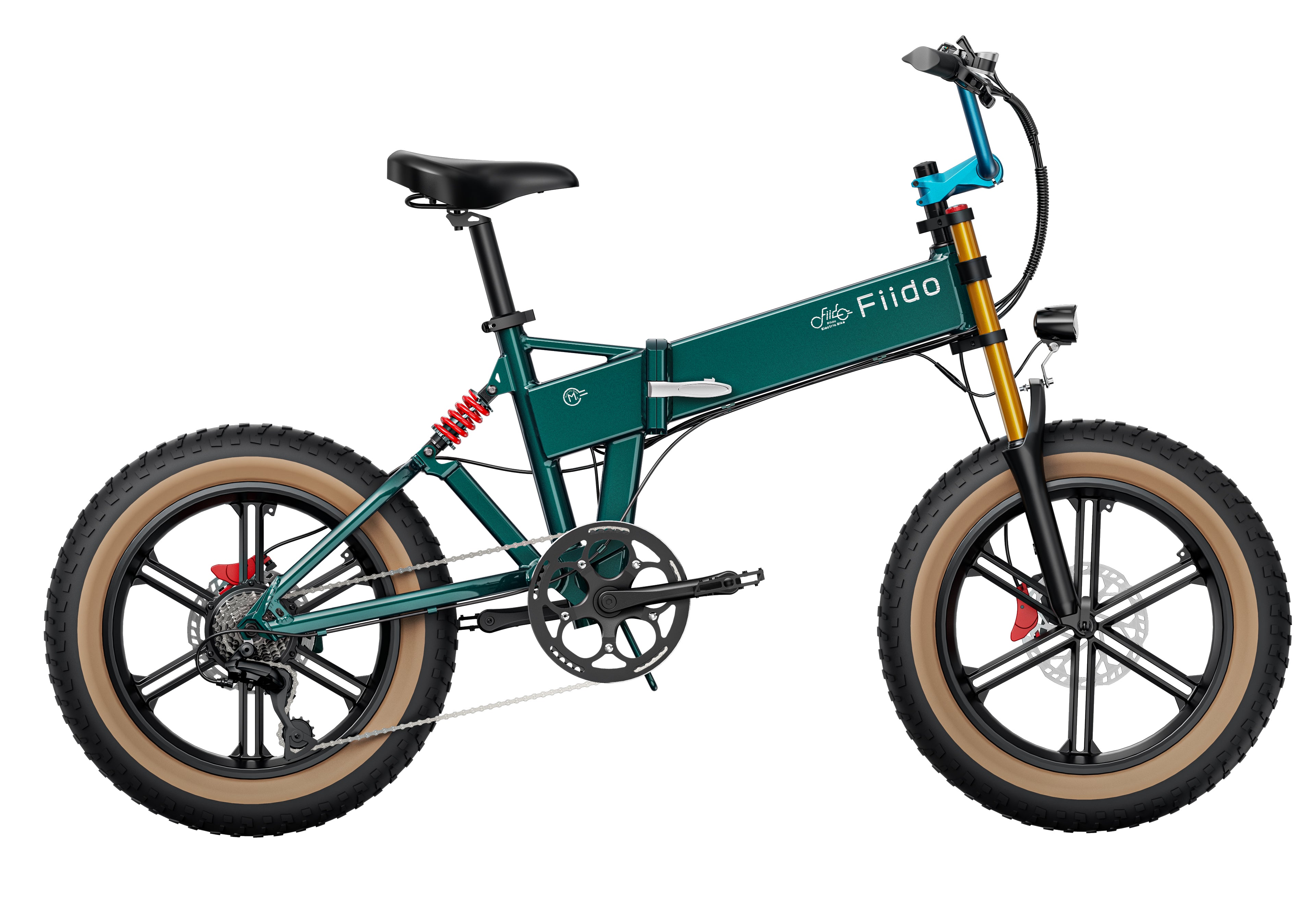 Fiido M1 Pro Electric Bike