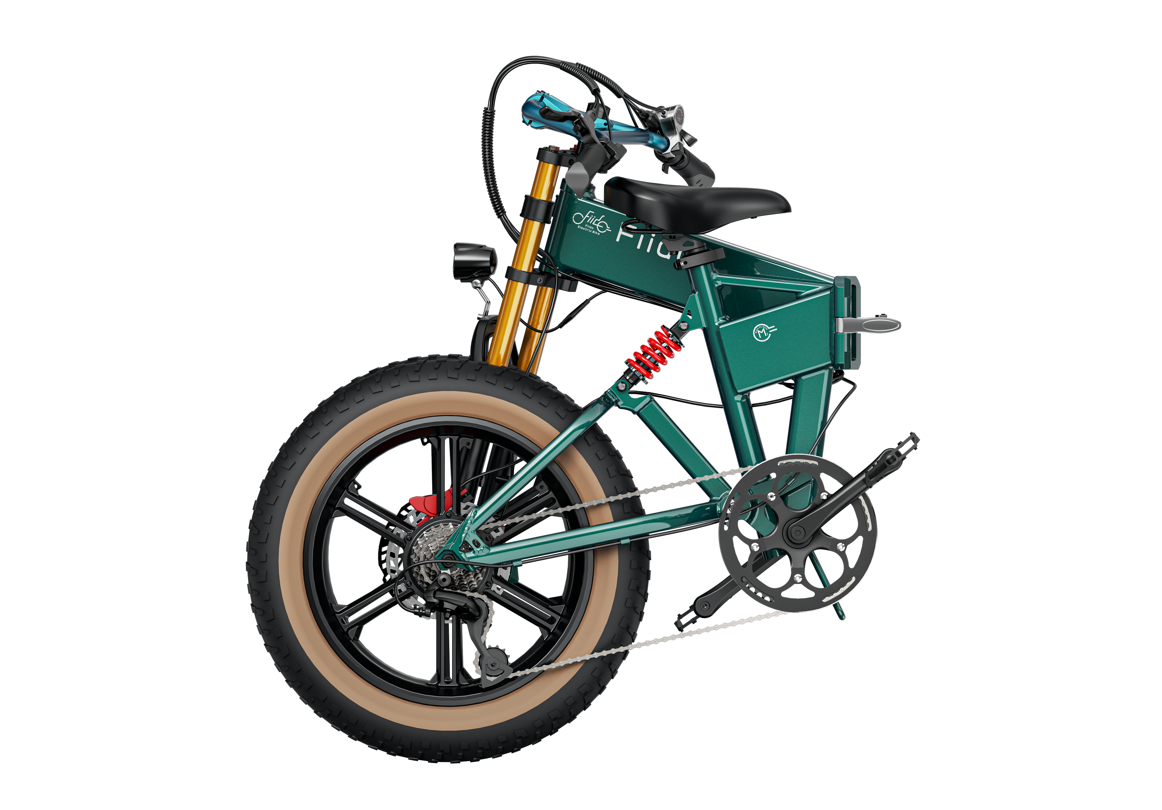 Fiido M1 Pro Electric Bike