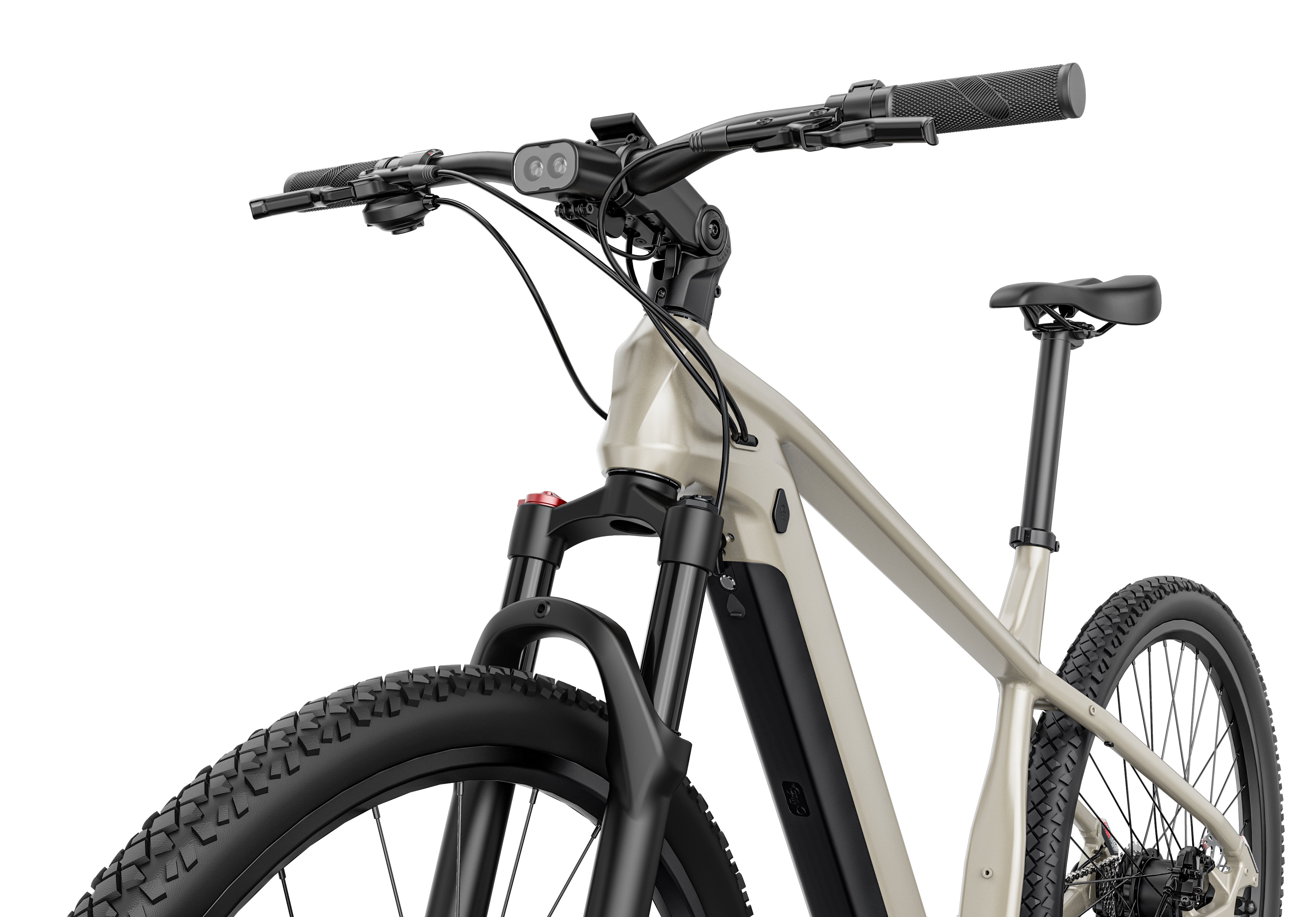 Fiido Touring Nomads Electric Bike