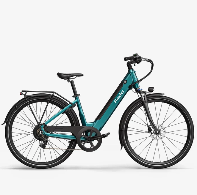 Fiido C11 E-Bike