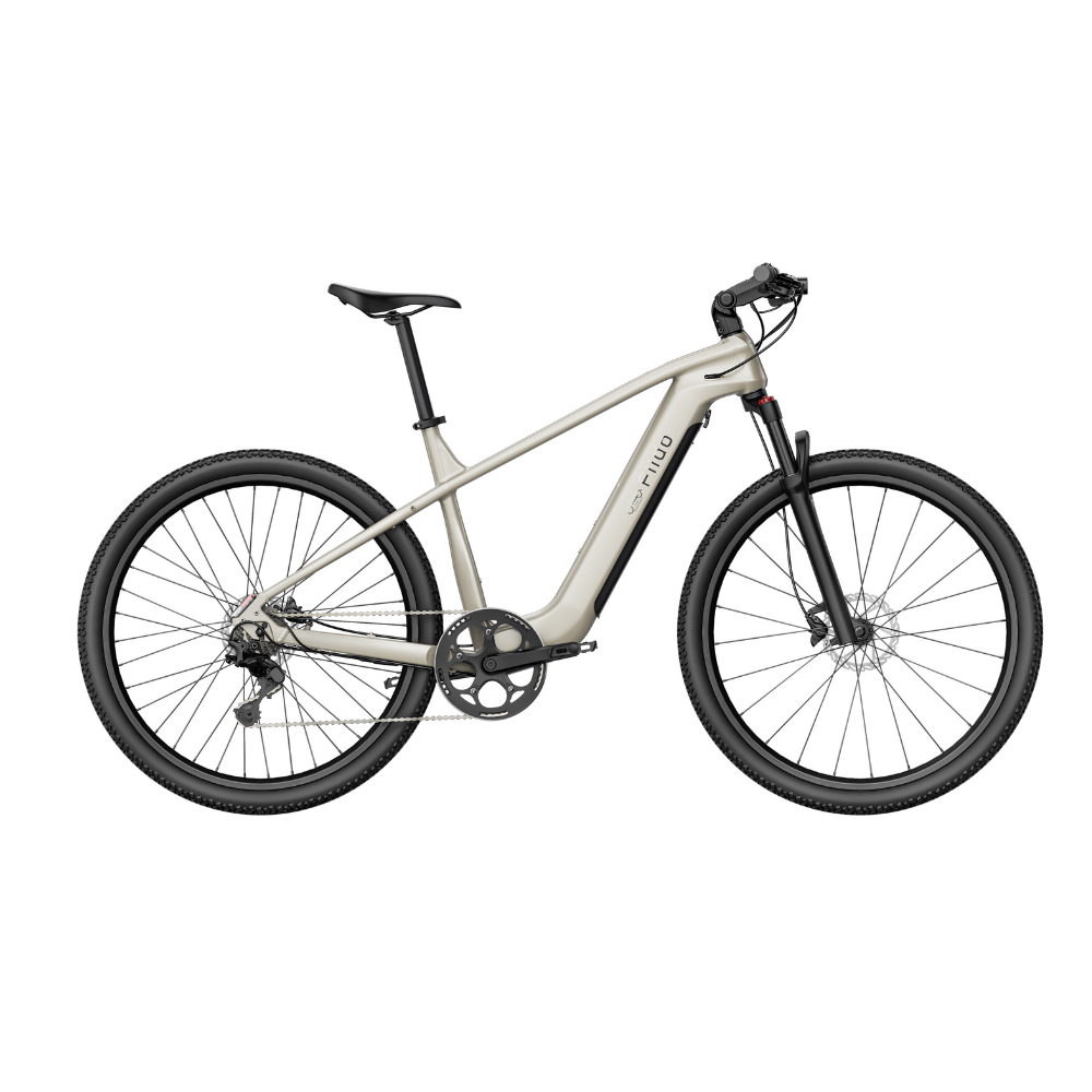 Fiido Touring Nomads Electric Bike