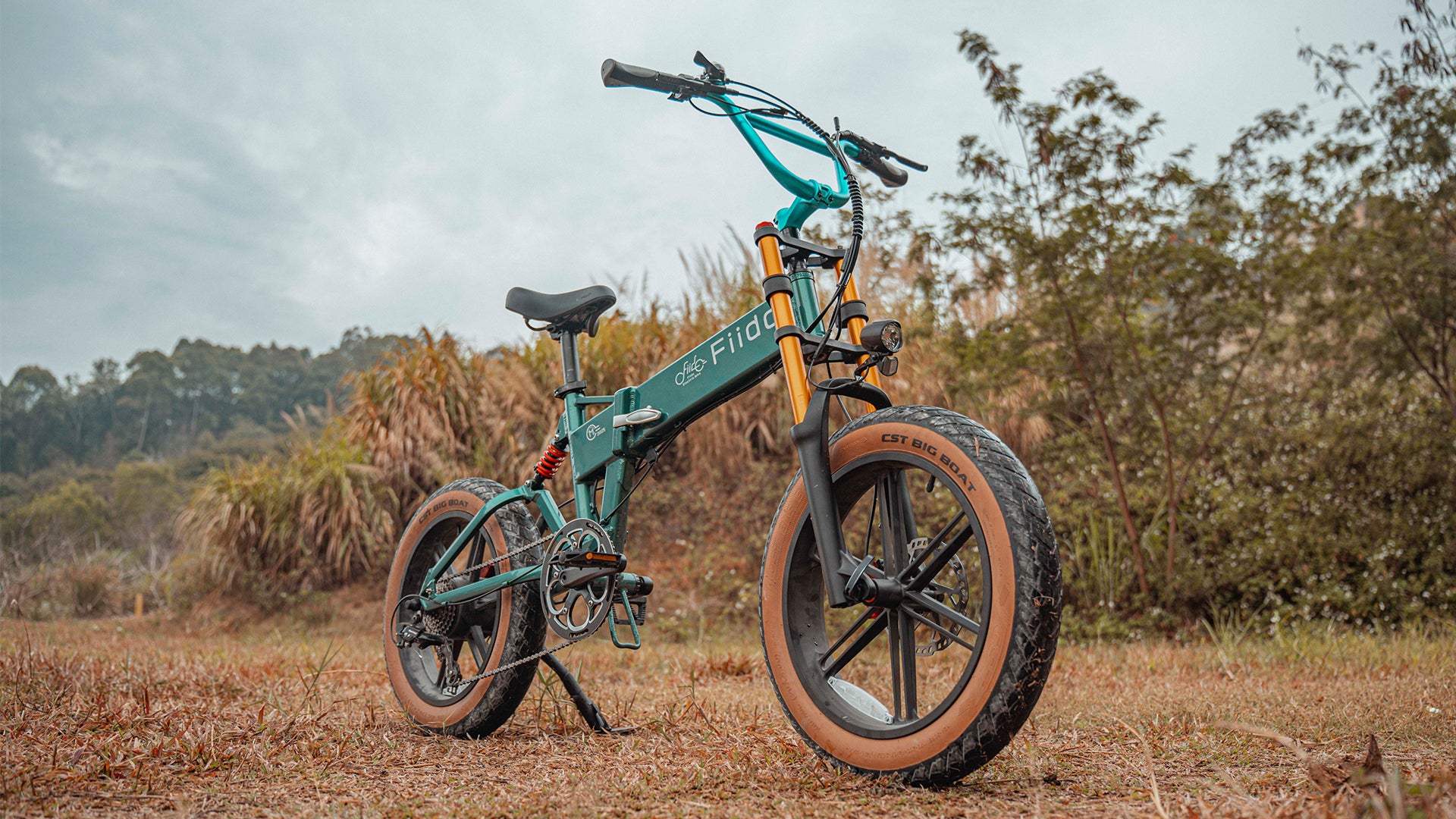 Fiido M1 Pro Electric Bike