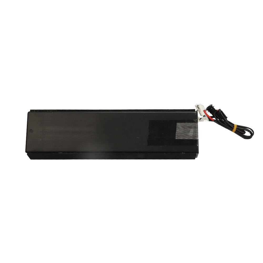 Fiido store d2 battery