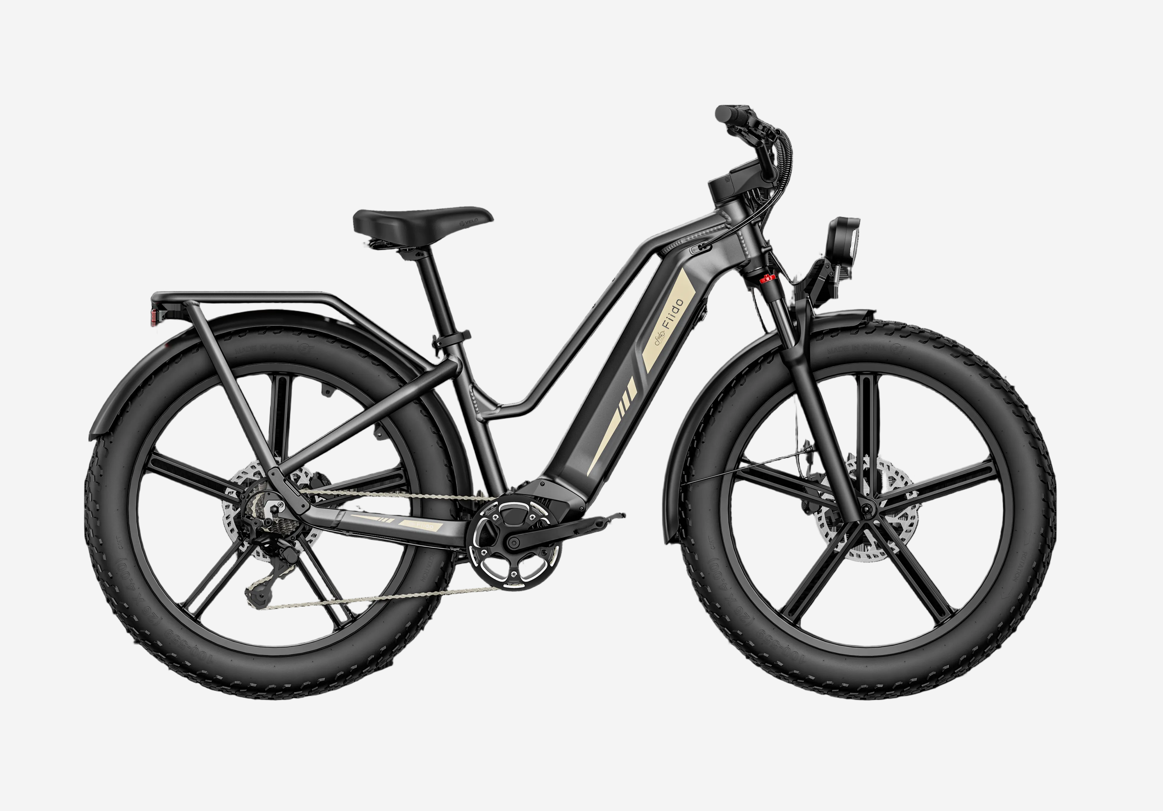 Fiido Titan Electric Bike
