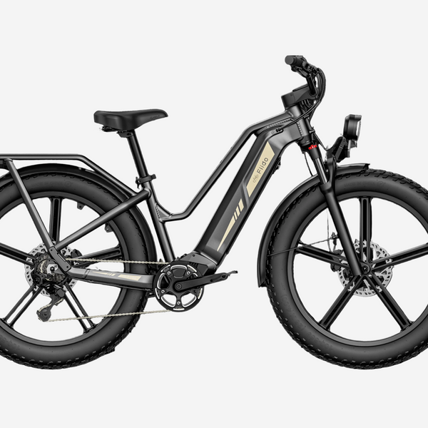 Fiido Titan Electric Bike