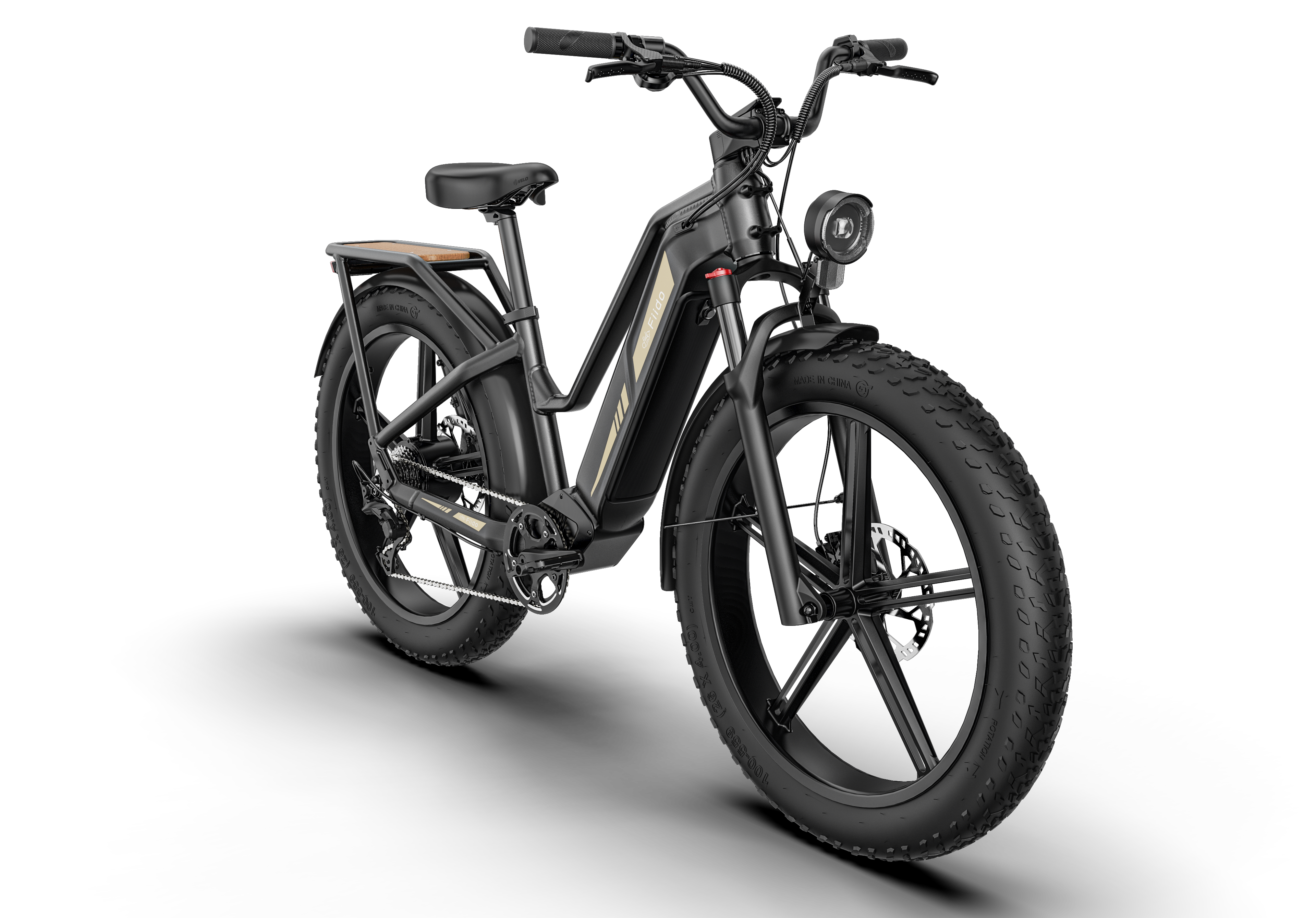 Fiido Titan Electric Bike