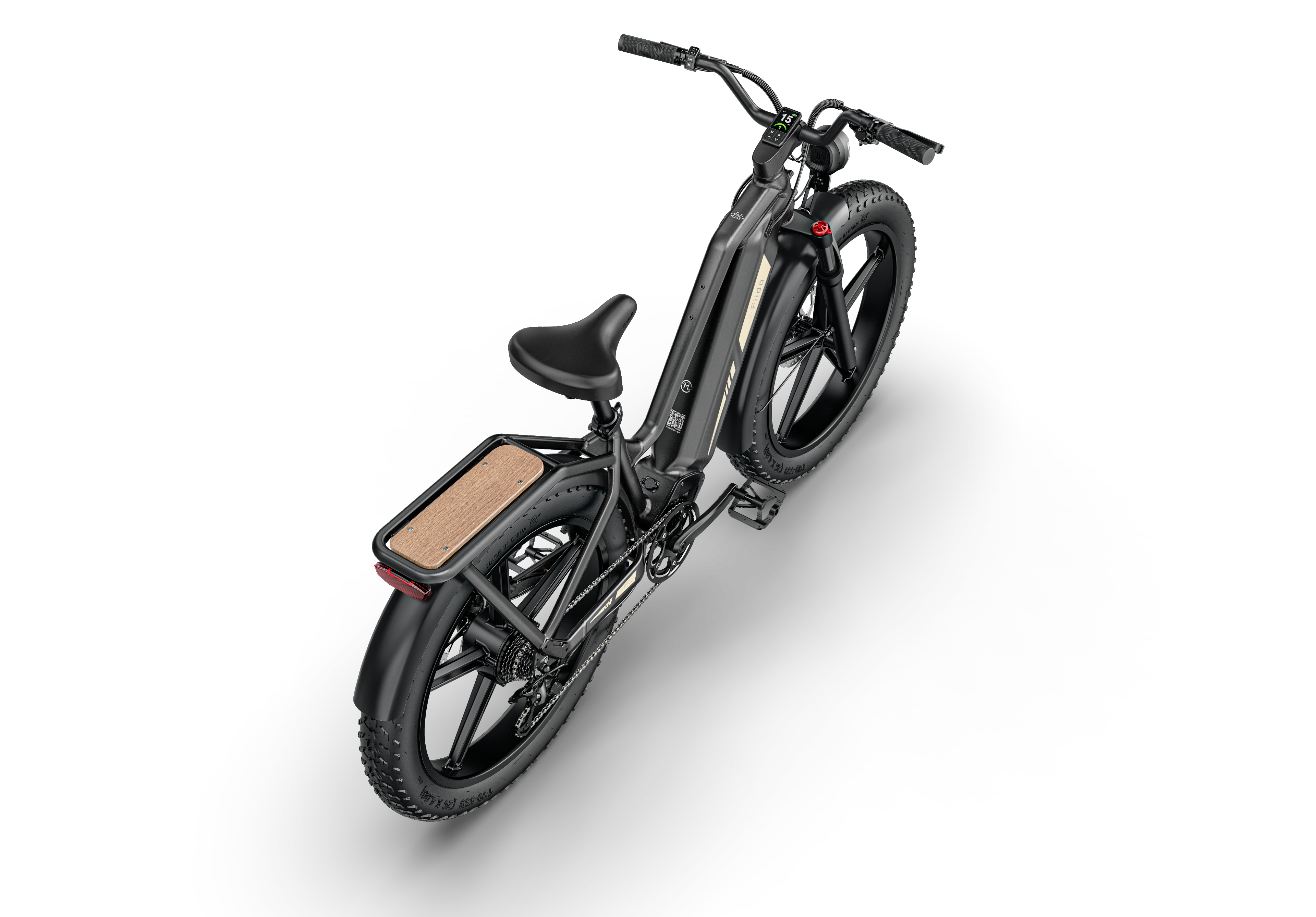 Fiido Titan Electric Bike