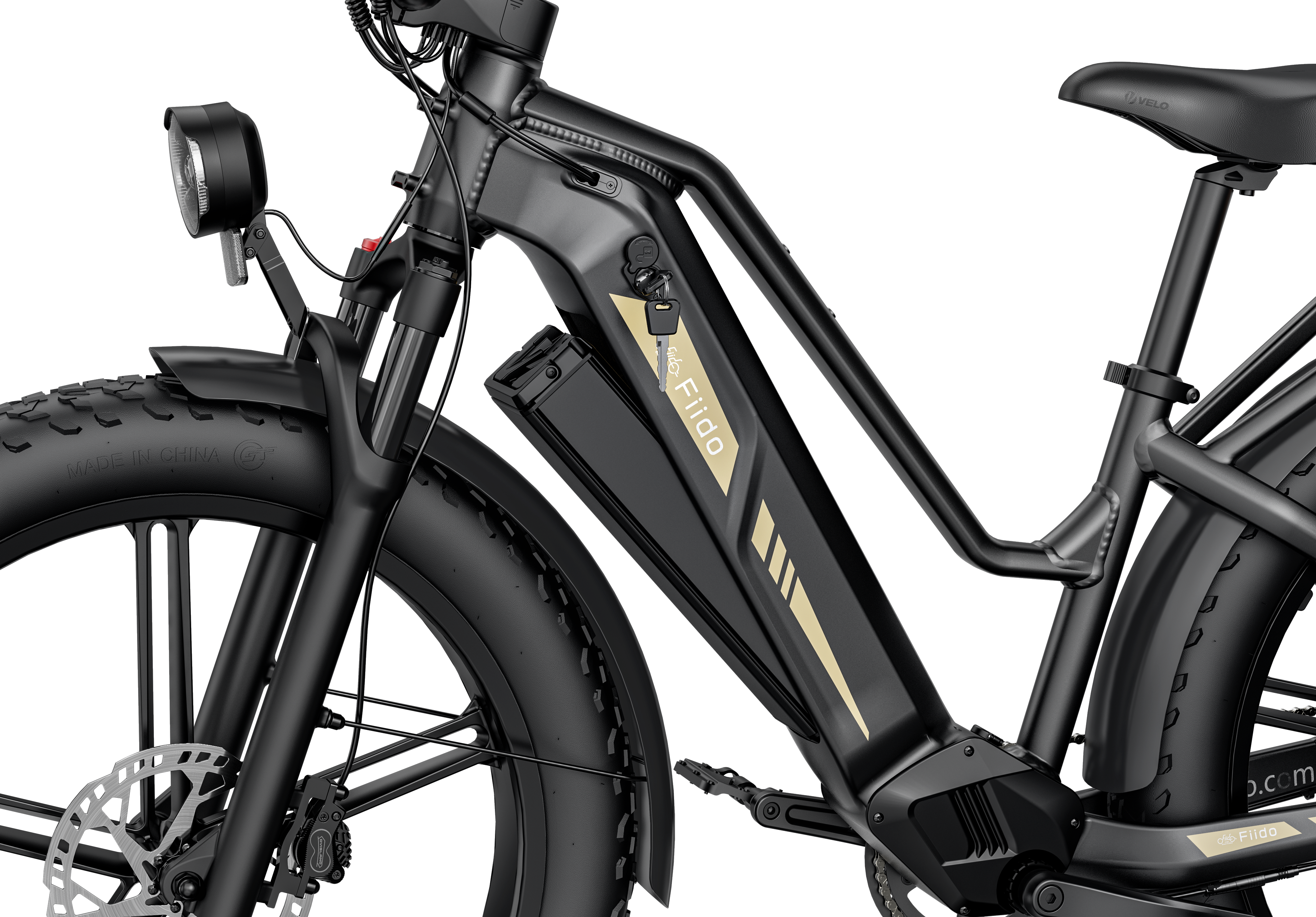 Fiido Titan Electric Bike
