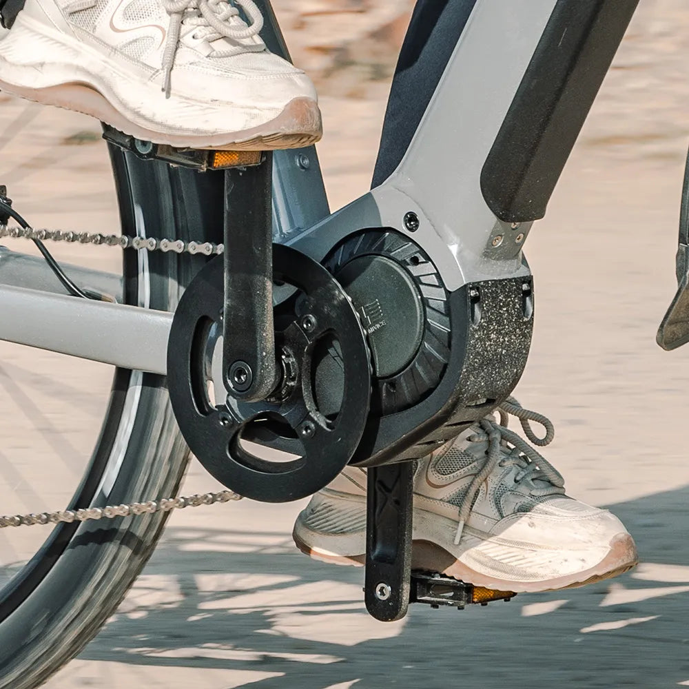 Fiido Nomads Pro Electric Bike