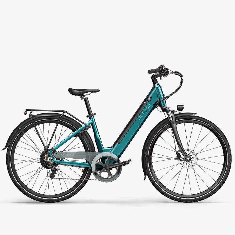 Fiido C11 E-Bike