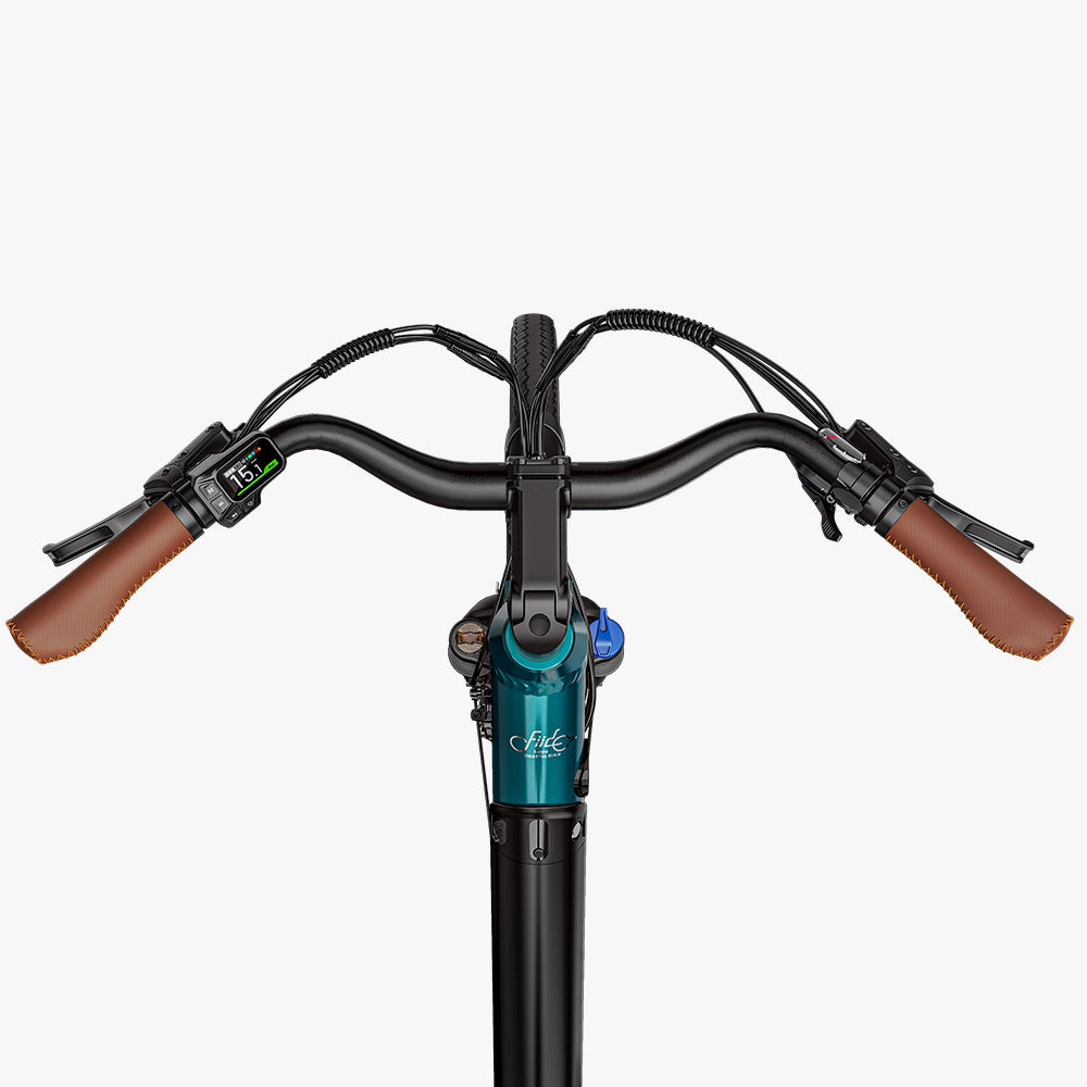 Fiido C11 Pro E-Bike