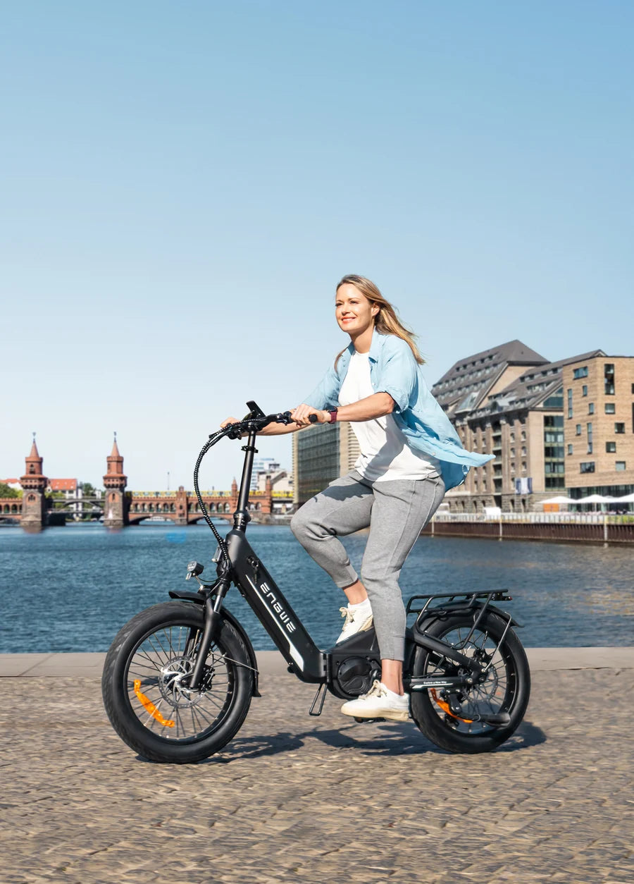 Engwe L20 3.0 Pro Cargo Electric Bike