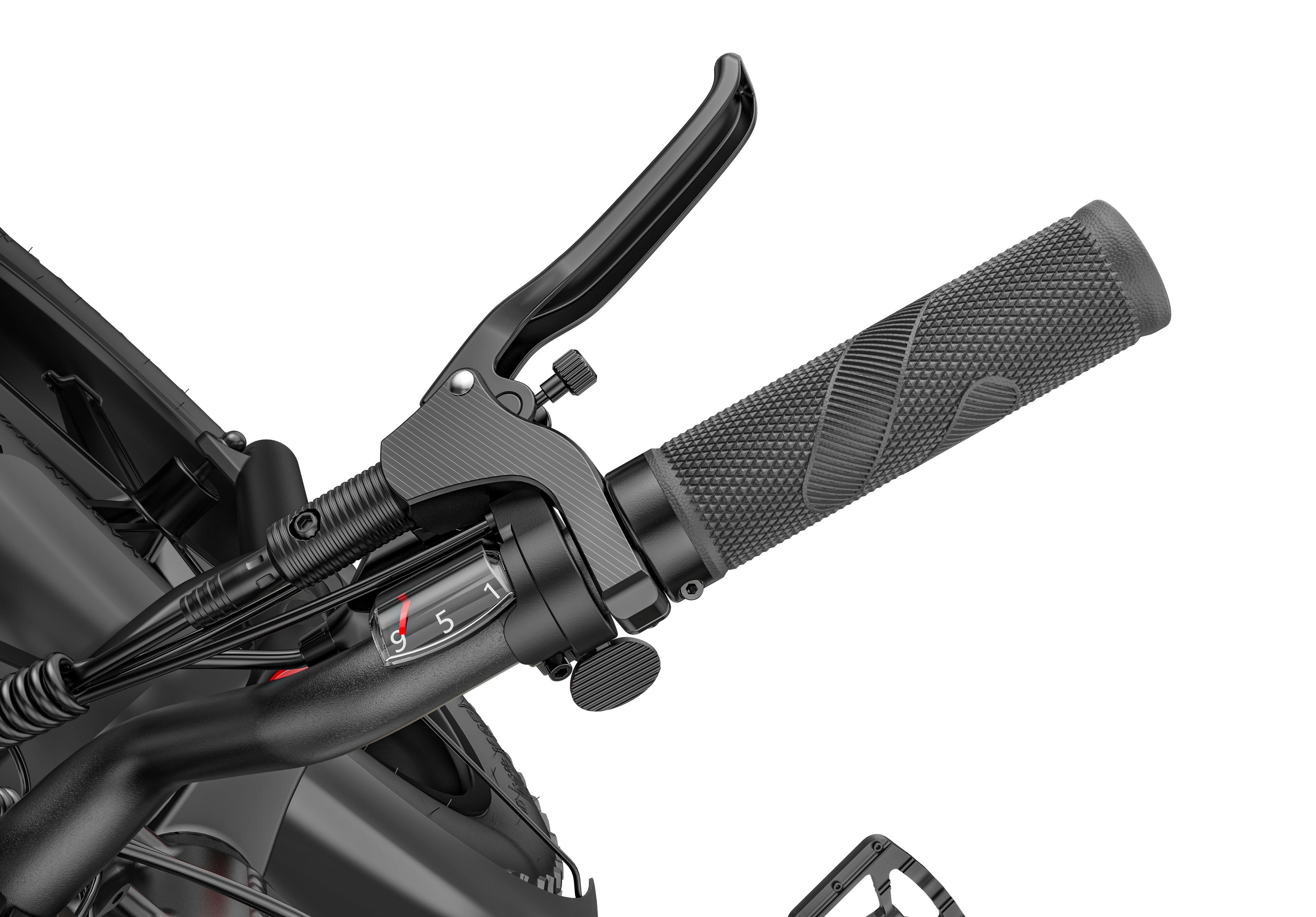 Fiido Titan Electric Bike