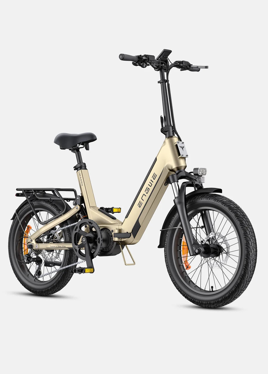 Engwe L20 3.0 Pro Cargo Electric Bike