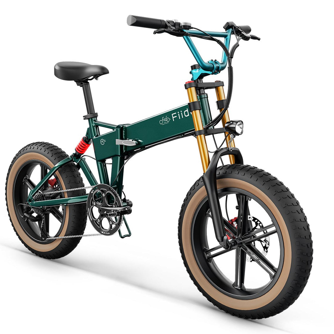 Fiido M1 Pro Electric Bike