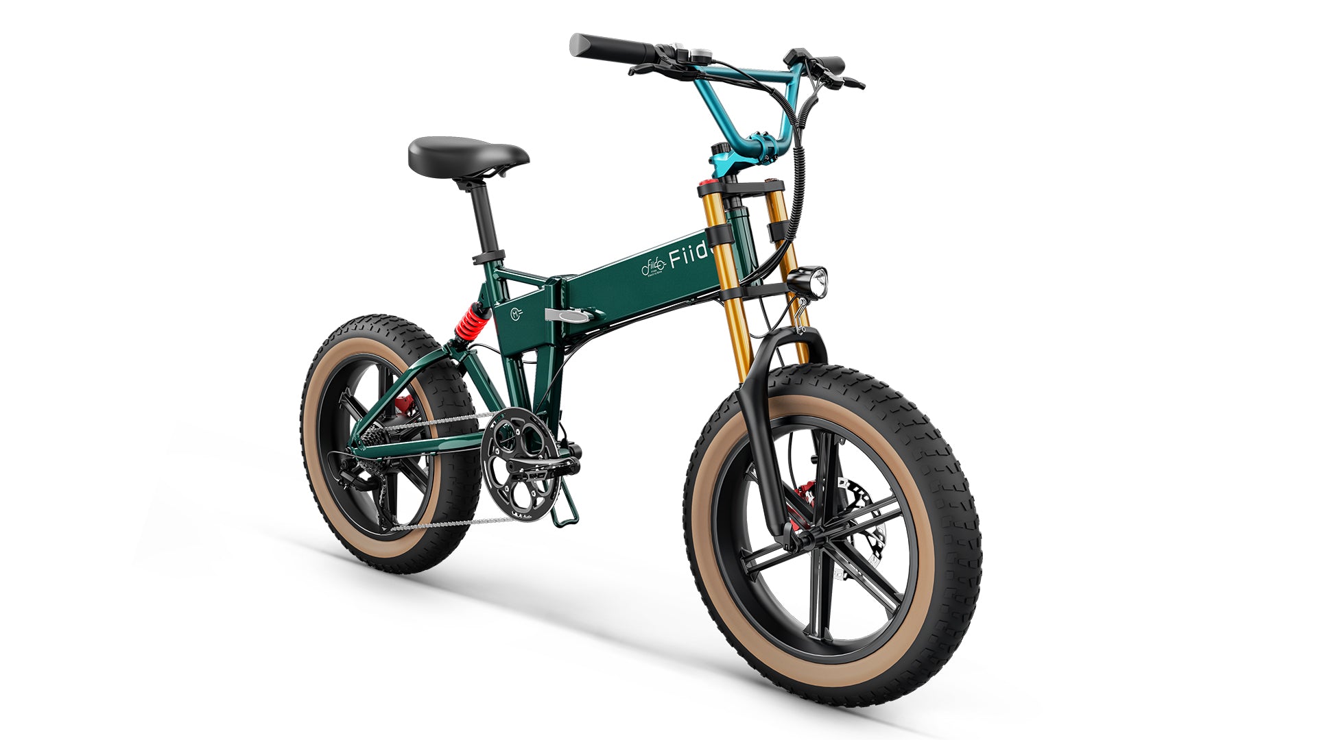 Fiido M1 Pro Electric Bike