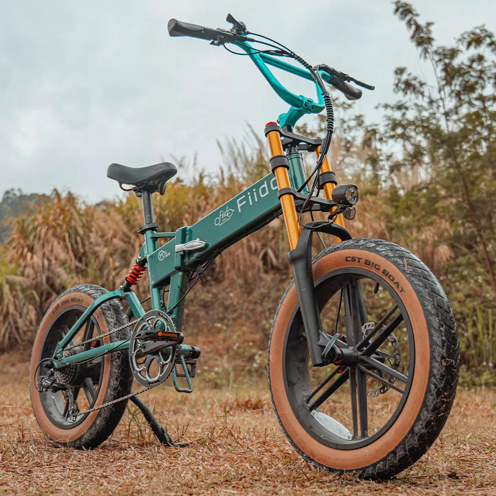 Fiido M1 Pro fat tyres and suspension
