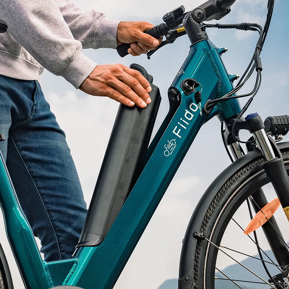 Fiido C11 E-Bike