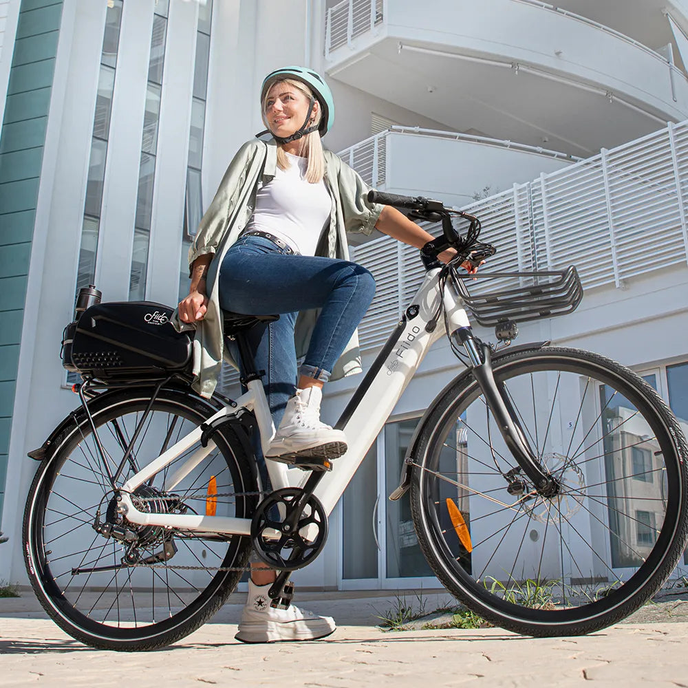 Fiido C11 E-Bike