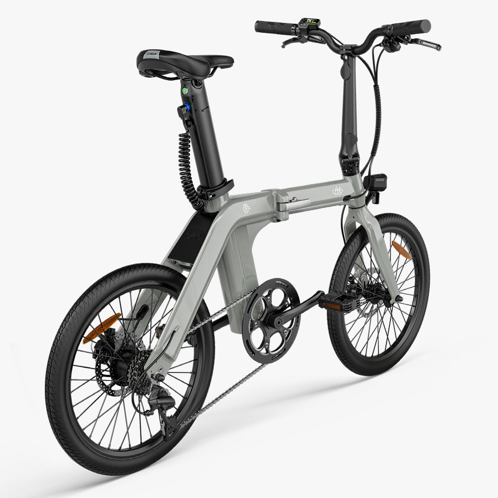 Fiido D11 2025 Electric Bike