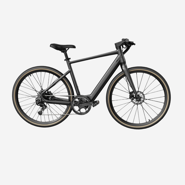 Fiido C21 E-Gravel and City E-Bike