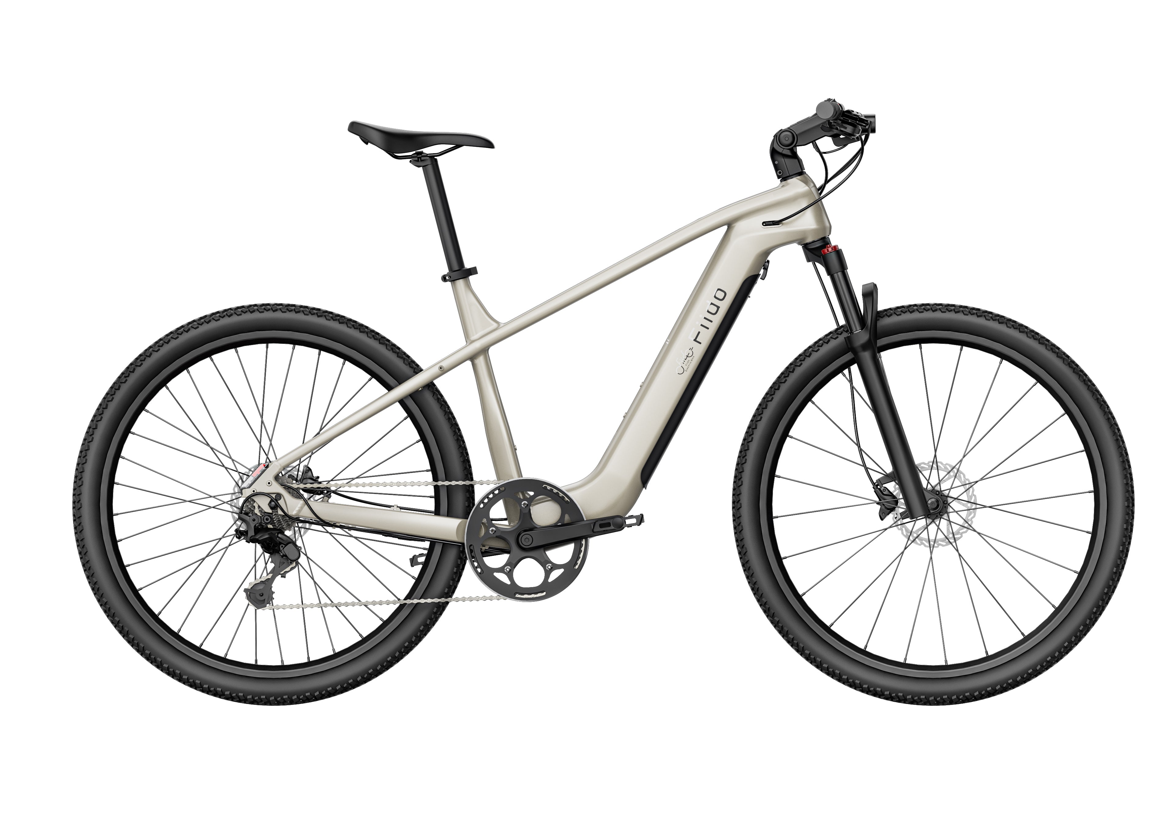 Fiido Touring Nomads Electric Bike