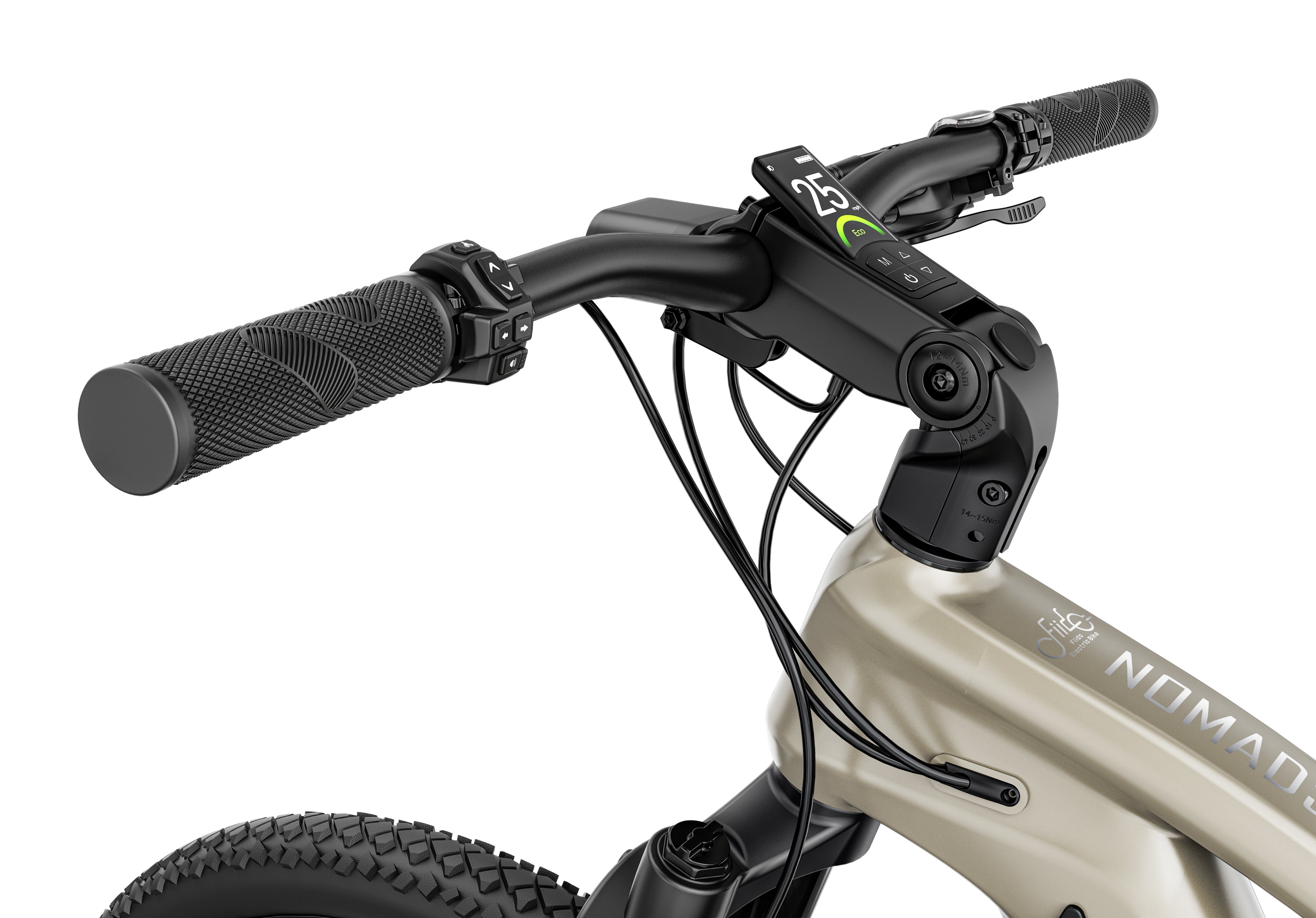 Fiido Touring Nomads Electric Bike