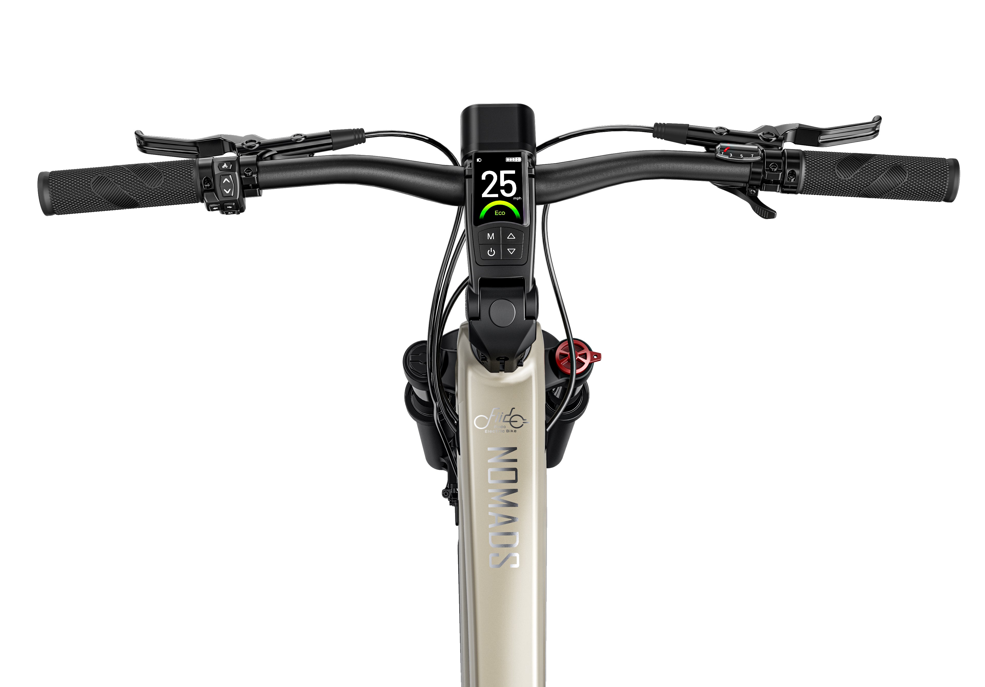 Fiido Touring Nomads Electric Bike