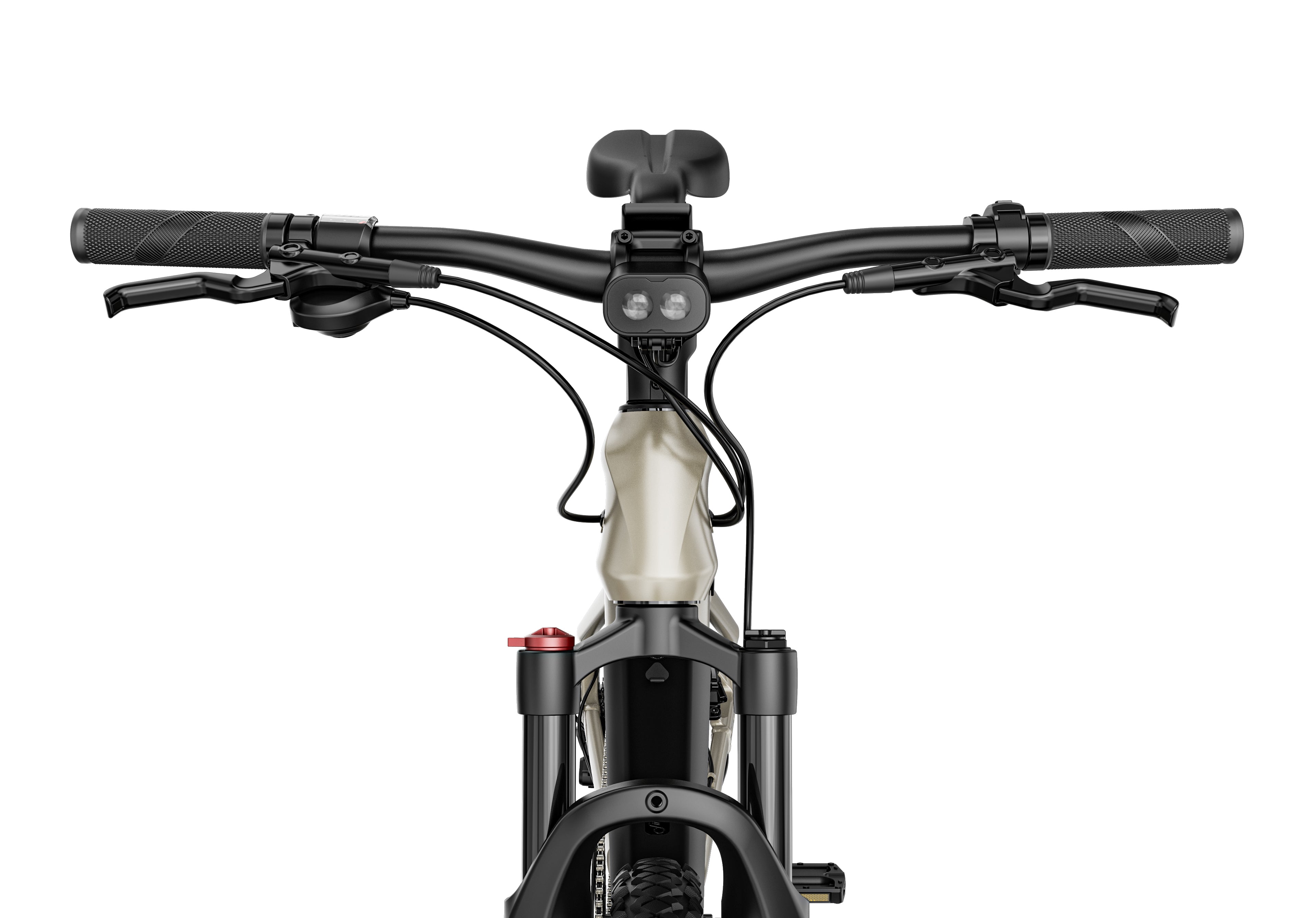 Fiido Touring Nomads Electric Bike