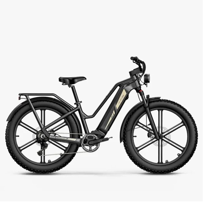 Fiido Titan Electric Bike