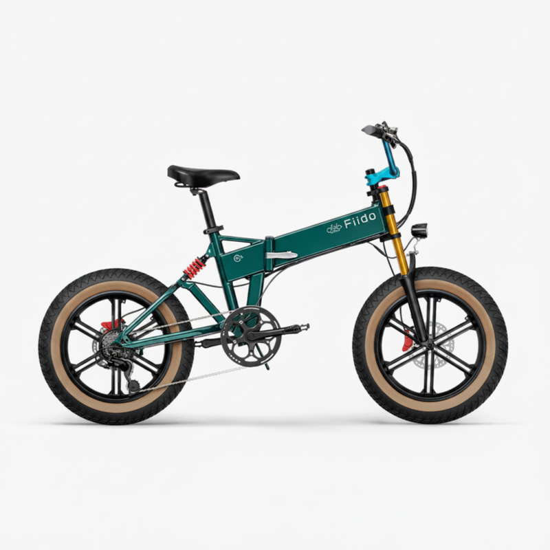 Fiido M1 Pro Electric Bike