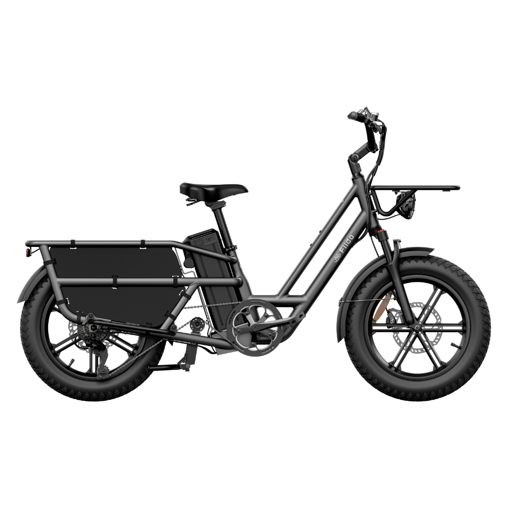 Fiido T2 Electric Cargo Bike