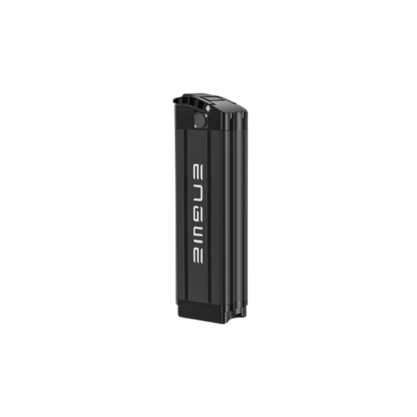 Engwe L20  13Ah Electric Bike Battery