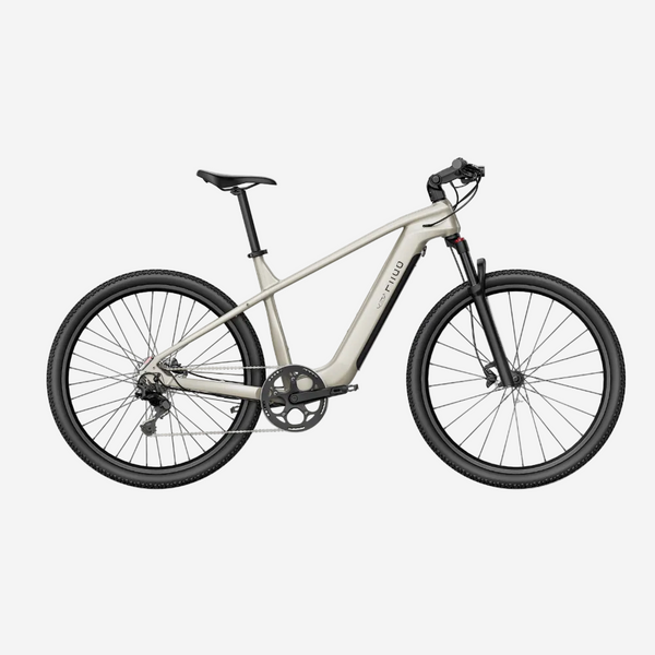 Fiido Touring Nomads Electric Bike