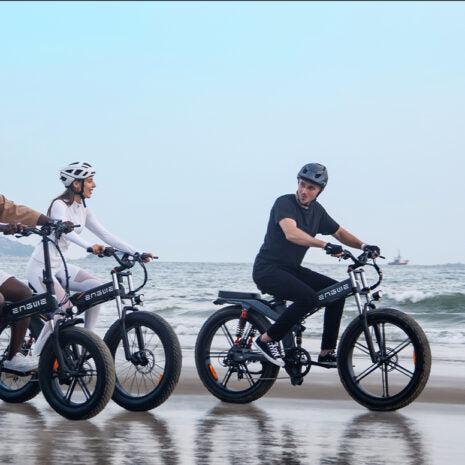 Engwe X24 Electric Bike