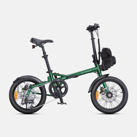 Engwe Zip Electric Bike