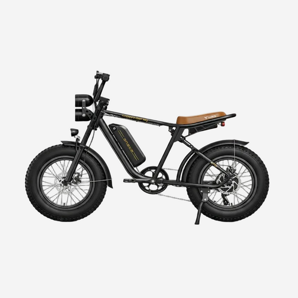 Engwe M20 Electric Bike