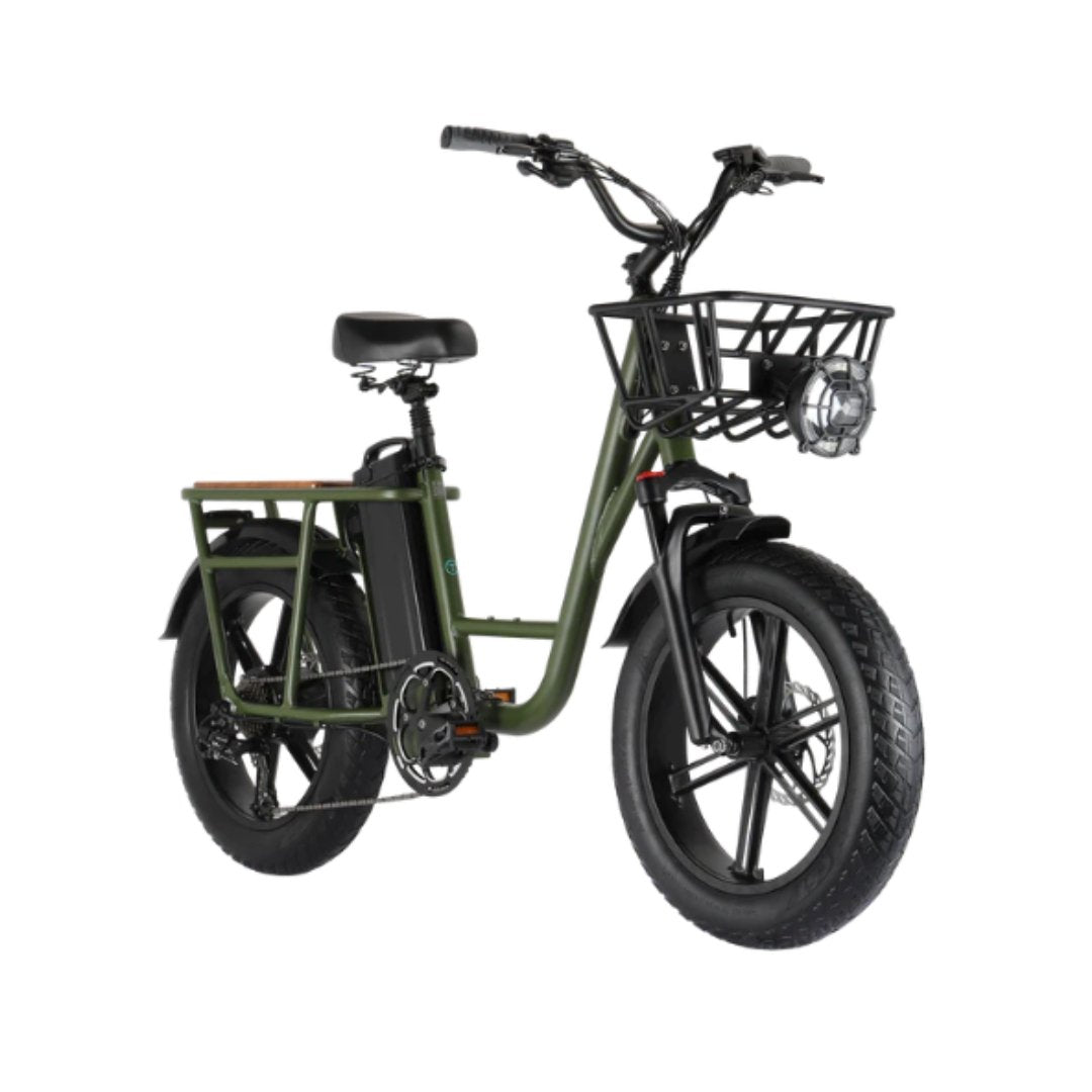 Fiido T1 Electric Cargo Bike - LOCO Scooters